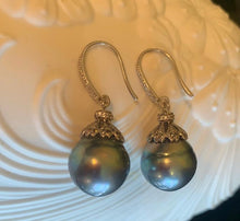 Kojima Tahitian Pearl Earrings